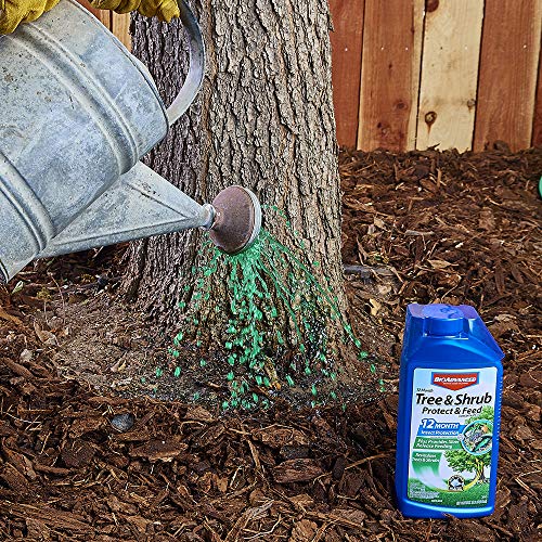 BioAdvanced Tree and Shrub Protect and Feed Concentrate - Image 3