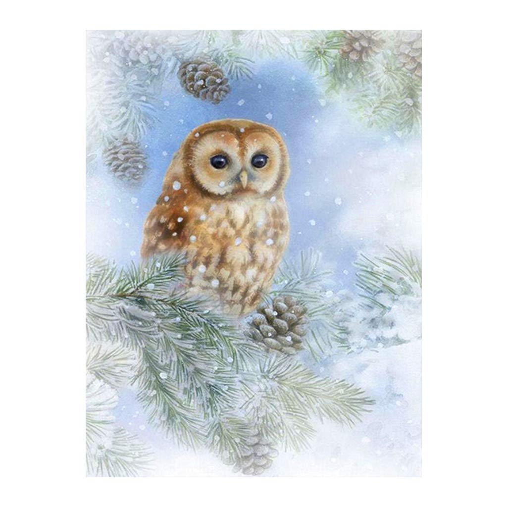 DCIDBEI 5D DIY Square Diamond Painting Cross Stitch Owl Needlework Full Square Diamonds Painting by Numbers for Adults Beginners Embroidery Mosaic Wall Sticker Pictures 12X16 Inches/30X40CM