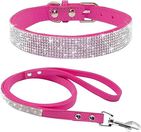 nice dog collars and leashes