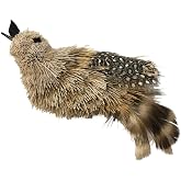 GoCat Da Birdie