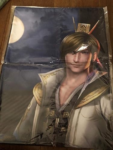 Amazon Co Jp 真 三國無双8 郭嘉 布ポスター ホビー 通販