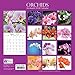 2018 Orchids Calendar - 12 x 12 Wall Calendar - with 210 Calendar Stickers