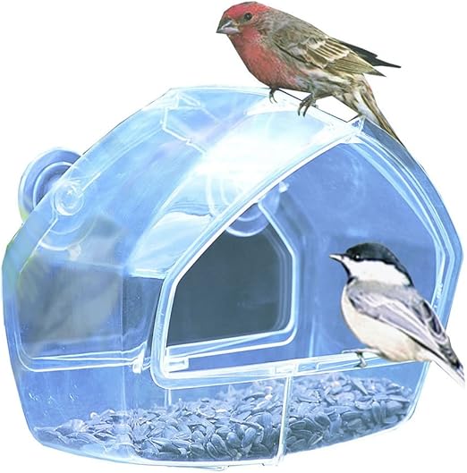 Perky Pet 348 Clear Window Mounted Wild Bird Feeder Amazon Co Uk
