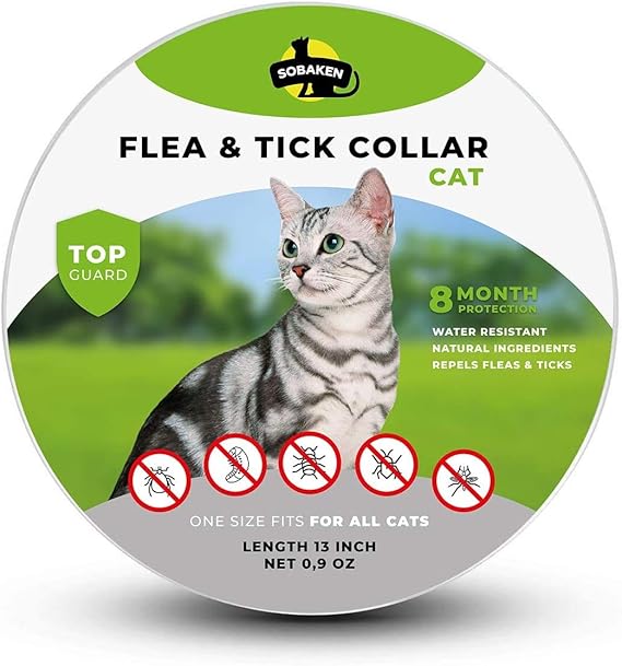 homemade flea collar for cats