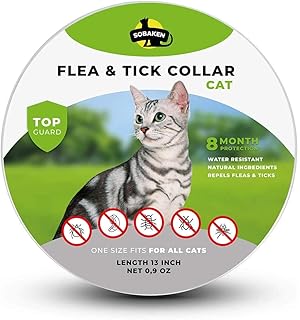 natural flea and worm treatment for cats