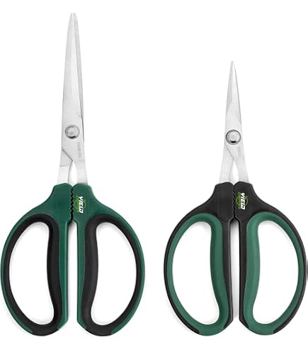 bambus kaufen online 10x Bambus | 220cm | Online kaufen