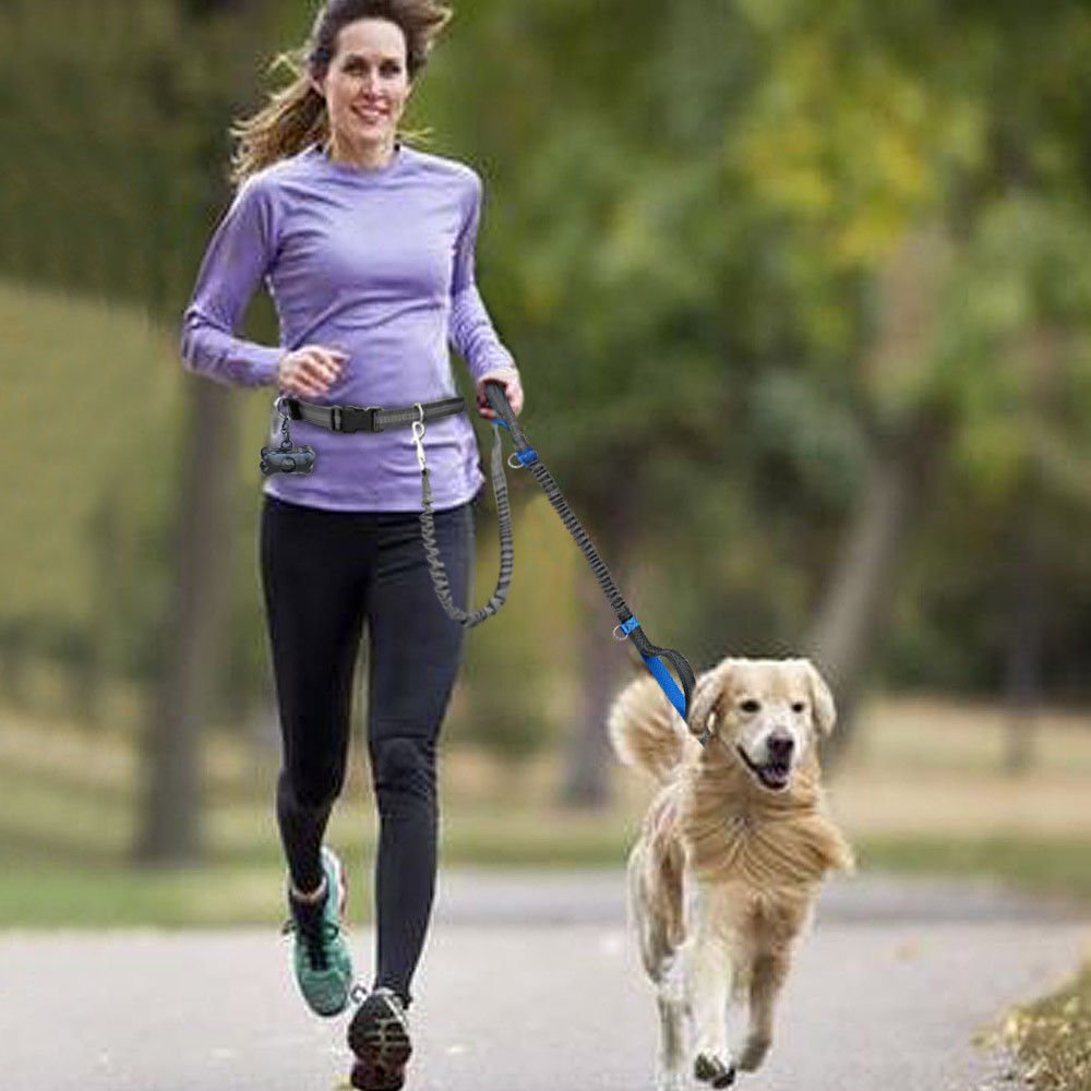 Heart Horse Hands Free Dog Leash with Dual Handle, Retractable Waist Dog Leash Extendible Bungee for up to 150 lbs Large Dogs for Running, Jogging or Walking