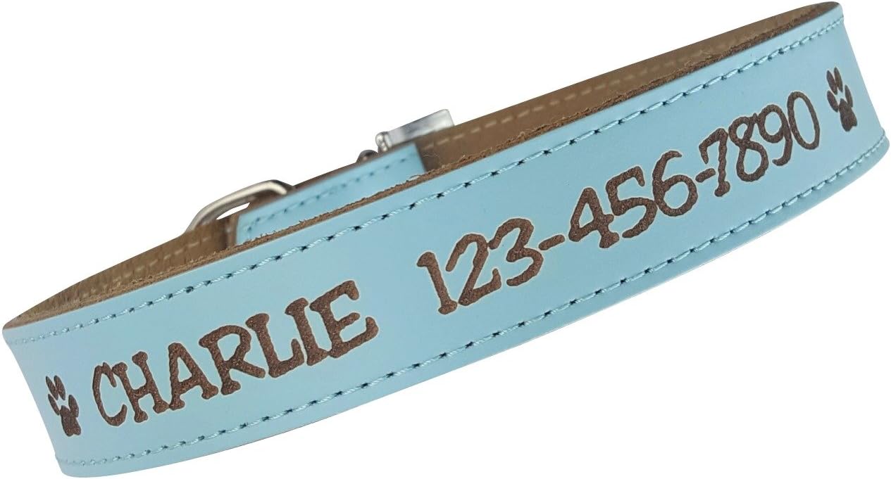 Custom Catch Personalized Dog Collar - Engraved Soft Leather in XS, Small, Medium or Large Size, ID Collar, No Pet Tags or Embroidered Names : Kitchen & Dining