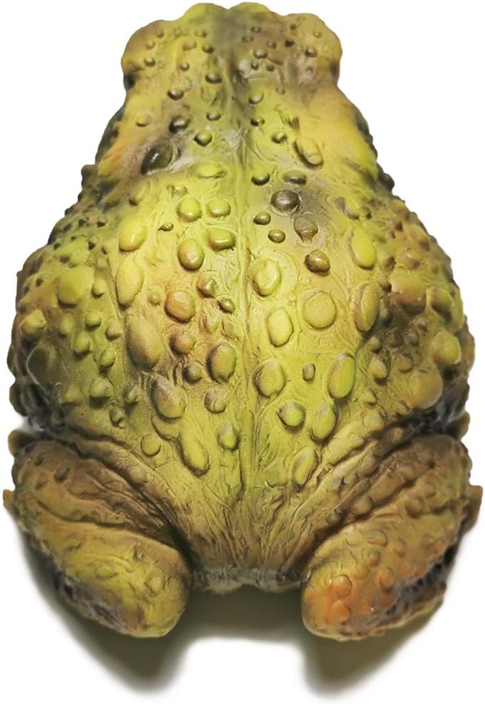Muse Design Frog Toad Sculptures Garden Statues Yard Art Resin Decorations Outdoor Garden Décor : Garden & Outdoor