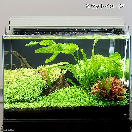 アクロ Triangle Led Bright 600 40lm Aqullo Series 60cm水槽用照明 ライト 熱帯魚 水草 B01kt50vyu 5 128円 大人気 New Arrival 最安値挑戦 年中無休 高品質 通販