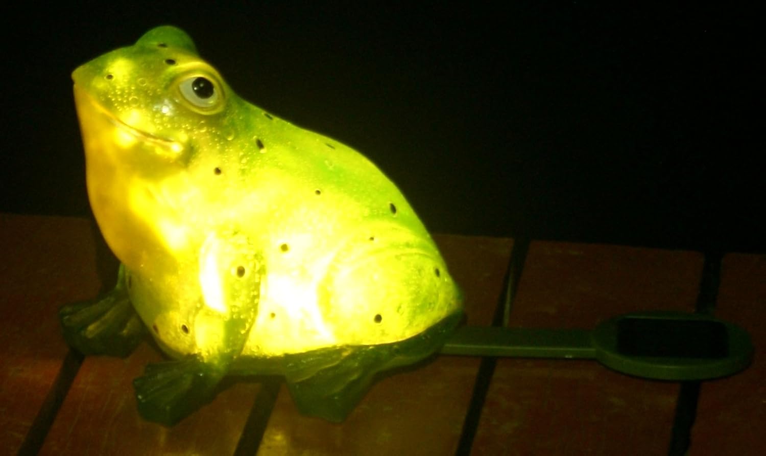 TIAAN 157807 Solar Powered Outdoor LED Light Garden Decor, Frog with