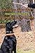 Dog Treats by Lots Of Woof, Dog Jerky Treats, All Natural Dog Treats, Chicken Jerky Dog Treats,Dog Treats Made In the USA Only, Grain Free Treats, Training Treats, Organic 7 Inch Strips 10 oz Pouch