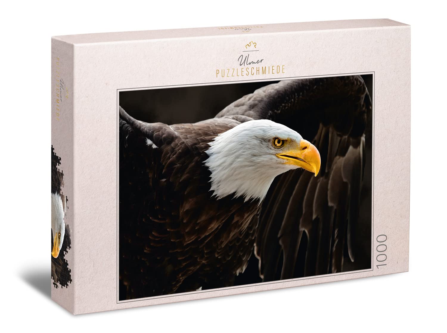 Ulmer Puzzleschmiede The Sea Eagle - Classic 1000 Piece Animal Puzzle - The Imposing Eagle, the Coat of Arms of the USA, with Wings spread - A Demanding Puzzle