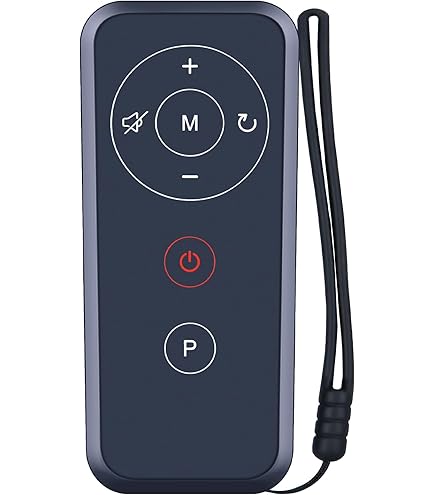 Amazon.com: Snrigw Replacement Remote Control for Redliro,LIVIVOX