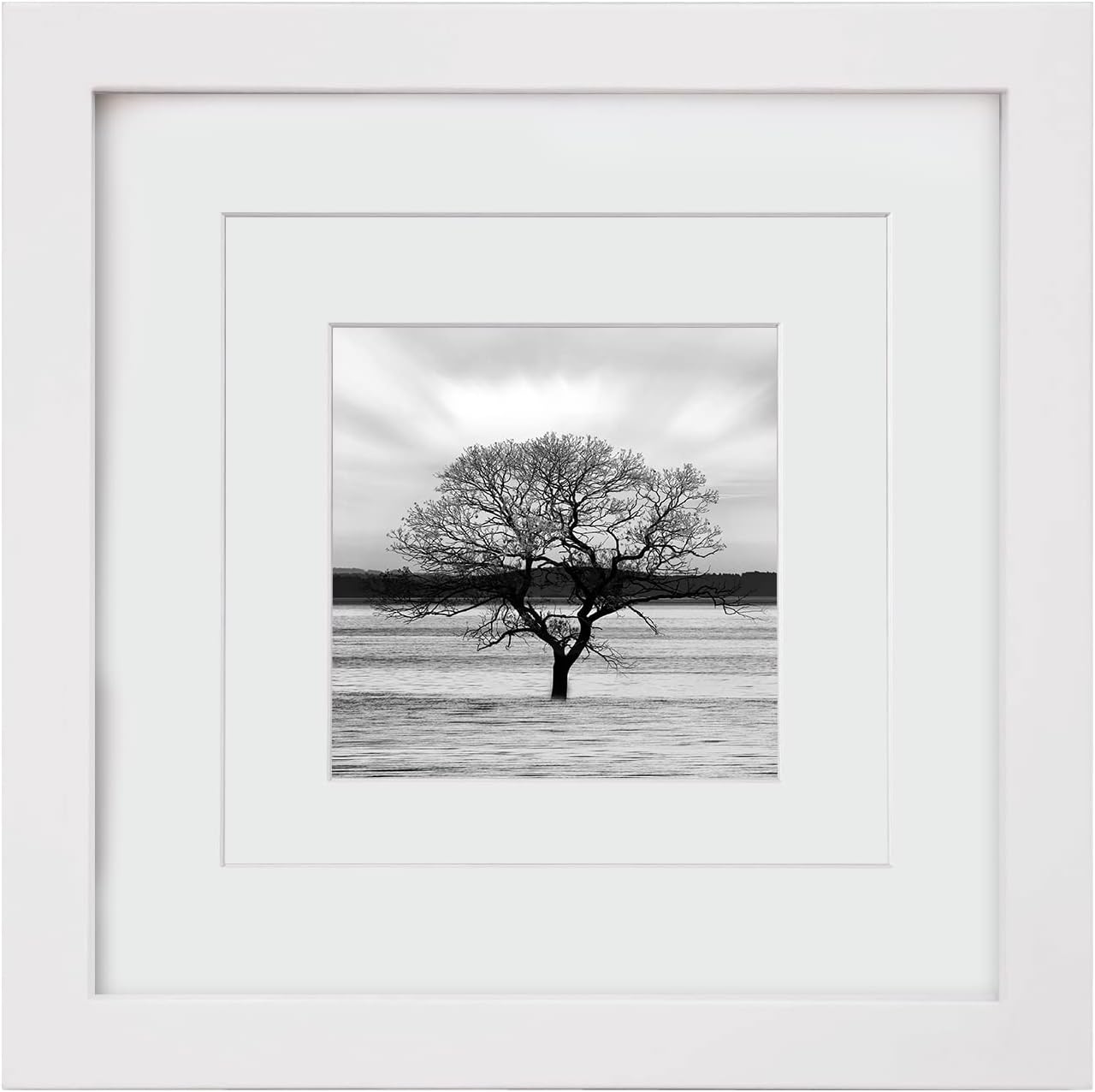 Photo Albums, Frames & Accessories - Egofine 8x8 Picture Frame Made of Solid Wood with Plexiglass, Display Pictures 4x4/6x6 with Mat or 8x8 Without Mat for Tabletop and Wall Mounting, White