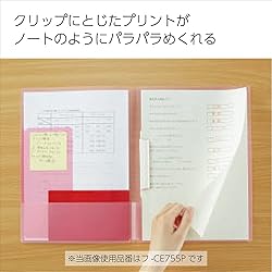 Kokuyo Campus Easy to Review Print File, Clip