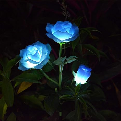 Amazon Com Chasgo Blue Rose Solar Flower Stake Lights