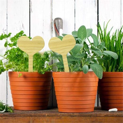 HUVE 50PCS Etiquetas De Plantas De Bambú - Etiquetas De Letreros ...