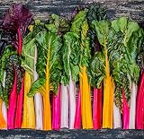 - Sweet Yards Seed Co. Organic Swiss Chard Seeds 'Rainbow Blend' - Over 75 Open Pollinated Non-GMO Seeds