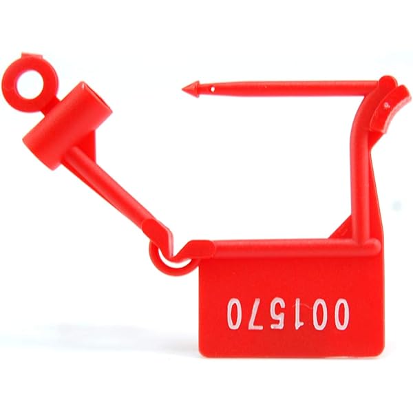 10+ Chasity Key Holder SionyJanosch