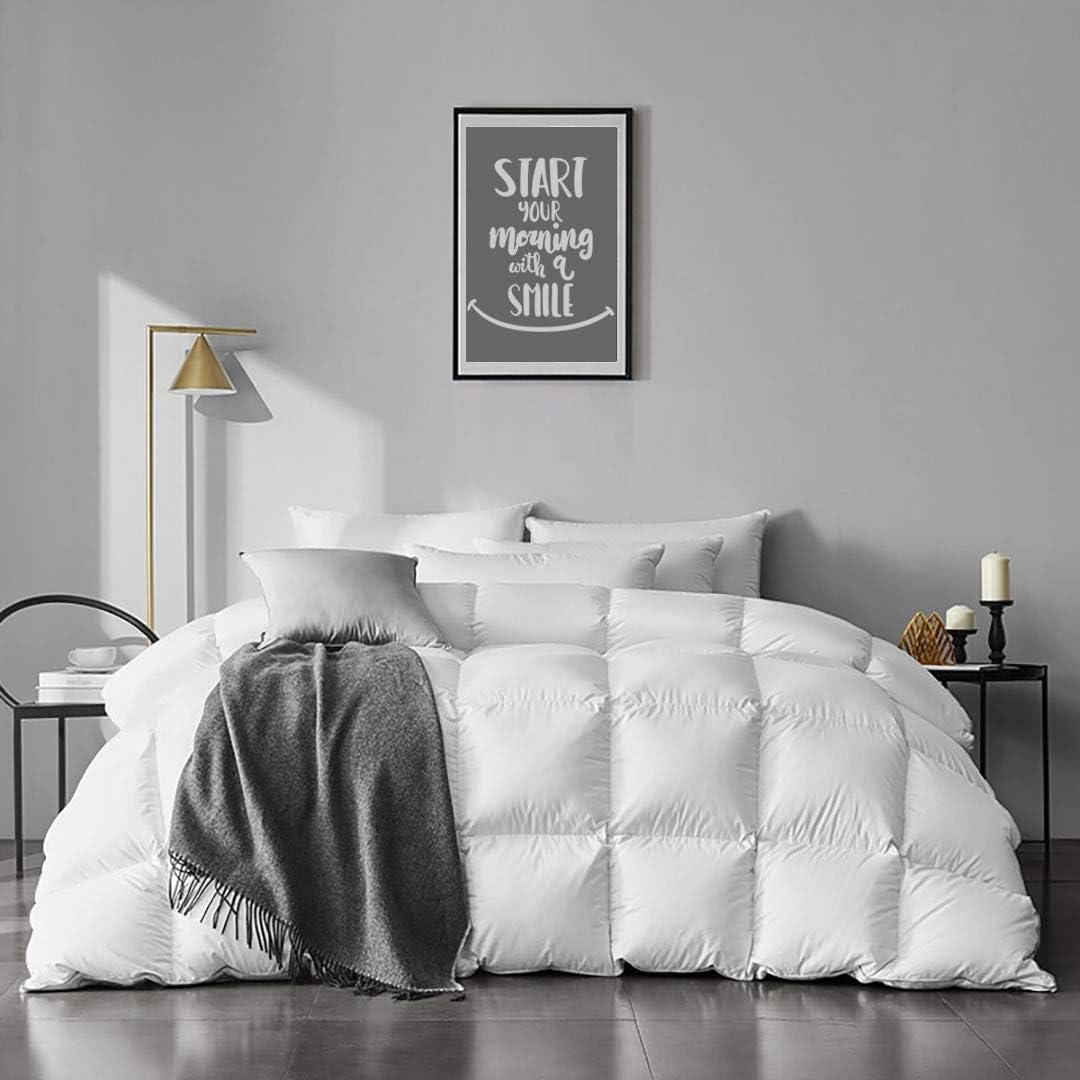 Photo 1 of APSMILE Lightweight Feather Down Comforter Queen Size - Ultra Soft 100% Organic Cotton Quilted Duvet Insert, Thin Bedding Comforter for Warm Weather/Hot Sleepers (90x90, Ivory White)