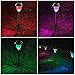 Aglaia Solar Lights Outdoor [6 packs] Solar Powered Pathway Color Changing Light with 2 Lighting Modes Landscape Light For Lawn/Patio/Yard/Walkway/Driveway/Sidewalk (Stainless Steel)