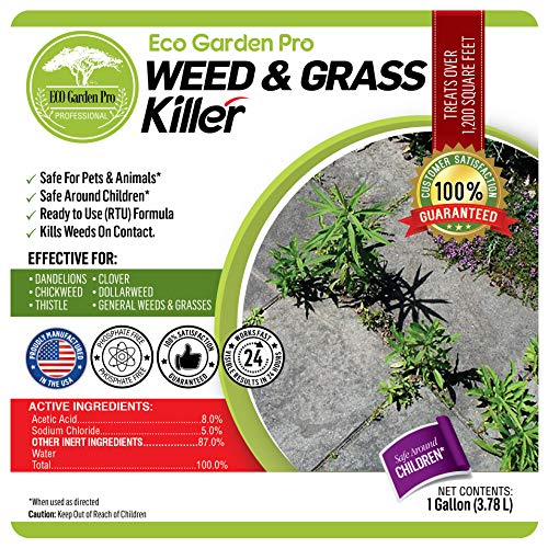 Eco Garden Pro Organic Vinegar Weed Killer Kid Safe Pet Safe Clover Killer For Lawns Moss Killer Green Grass Poison Ivy Killer Spray Ready Glyphosate Free Herbicide 1 Gallon Pricepulse