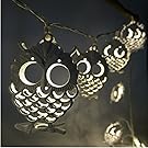 LEDHOLYT 1.2M 10 LEDs Battery Powered Owl Shape String Light for Festival Decoration (Warm White)