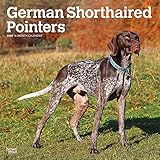 German Shorthaired Pointers International Edition 2020 12 x 12 Inch Monthly Square Wall Calendar, An by