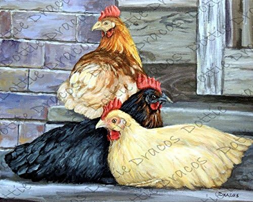 Hen, Hens, Chickens, Chicken Art, Farm Birds, Farm Fowl, From Original Chickens Painting by Dottie Dracos, Farm Art, Modern Farm, Print sizes from 8x10" to 13x16.25". Watermark NOT on your print.