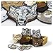 13pcs Assorted Lion Tiger Leopard Wolf Deer Eagle Embroidered Safri Animal Patches Sew Iron on Applique Badge (Assorted)