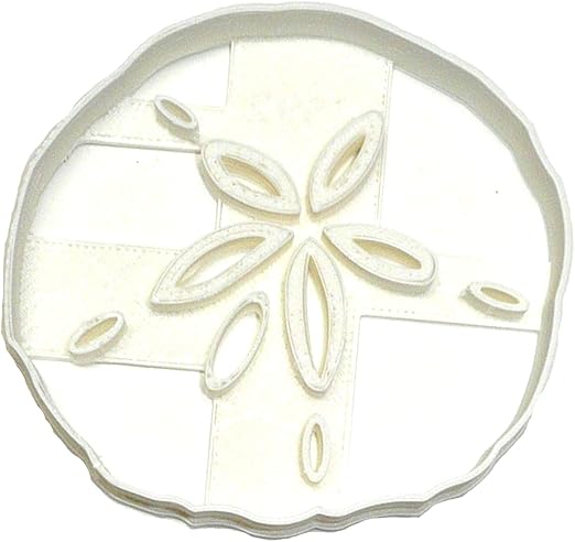 Amazon Com Sand Dollar Sea Urchin Snapper Biscuit Pansy Shell