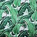 Bathroom Shower Curtain,Creative & Smart Shower Curtain 100% High-Grade Polyester Material,Amazing Exotic Rainforest Banana Leaf Pattern,Heavy-Duty&Repels Water Design,71 X 71 inches
