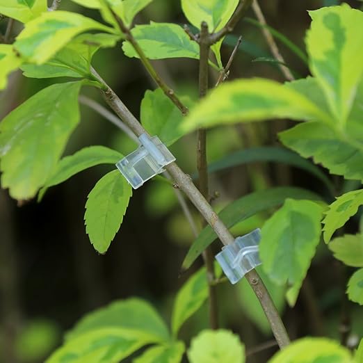 Fdit 100 pinzas para manualidades con clip para plantas, diseño de ...