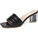 clear mules low heel