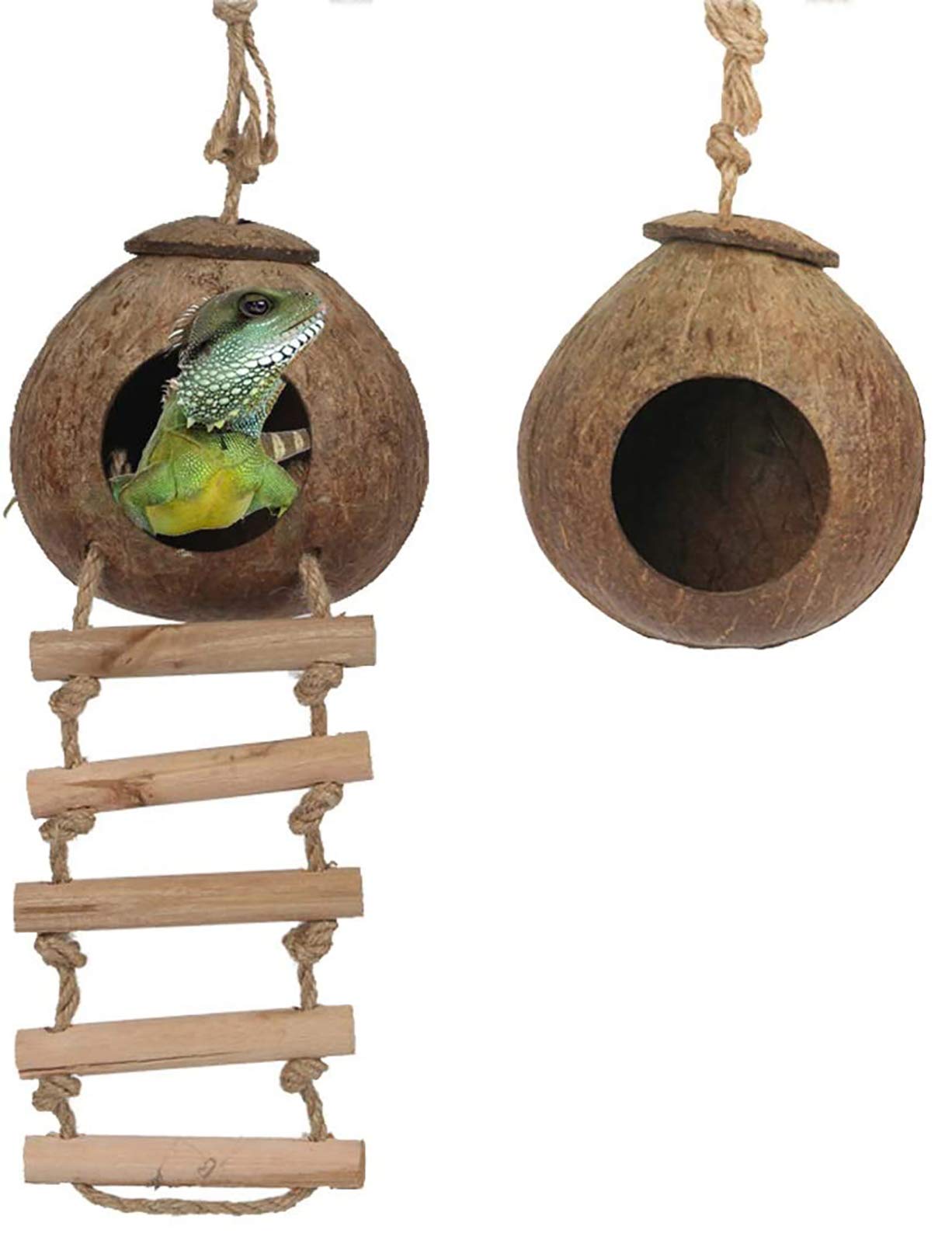 Natural Coconut Shell Gecko Nest House Reptile Hideouts Bed Cage Toy with Ladder Hanging Loop for Lizards Chameleon Gecko Snakes Small Animal 2 PCS