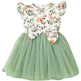 Toddler Baby Girls Summer Clothes Tutu Princess Dress Floral Sleeveless Dress Little Girl Outfits