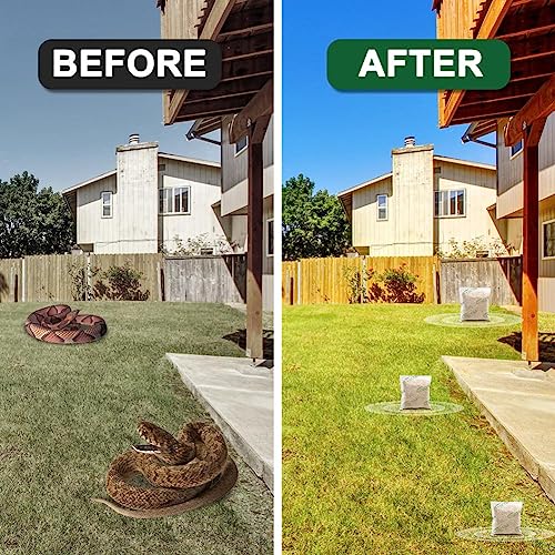 TSCTBA Snake Repellent for Yard Powerful, Snake Deterrent for Yard, Snake  Repellent for Outdoors Pet Safe, Keep Snakes Away Repellent for Yard, Snake  Repellant Outdoor and Home-10P in Saudi Arabia | Whizz