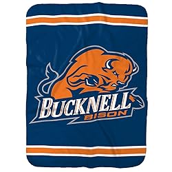 Bucknell University Bison Primary Logo Stripes