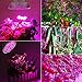 [Pack of 2] 100W Led Plant Grow Light Bulb, Full Spectrum 150 LEDs Indoor Plants Growing Light Bulb Lamp for Vegetables Greenhouse and Hydroponic, E26 E27 Base Grow Light Bulbs, AC 85~265V