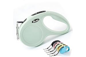 Retractable Dog Leash 3M/10FT, Tangle-Free & Chew-Resistant Automatic Leash for Small Medium Dogs, Adjustable Pet Lead for Ea