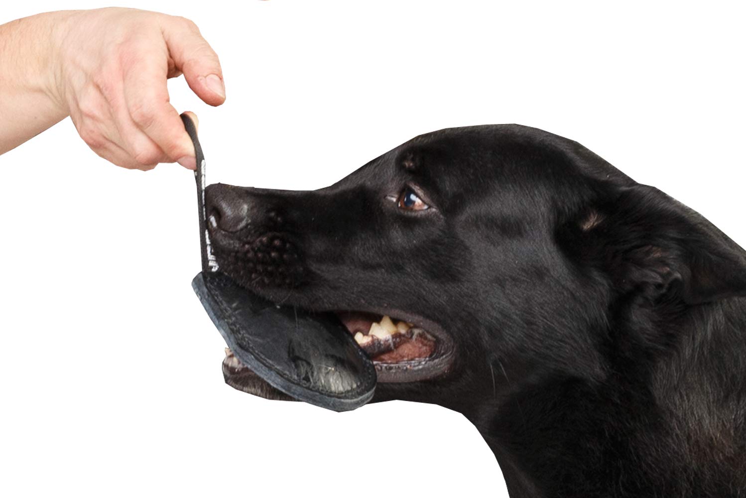 DINGO GEAR Dog Bite Tug Toy Hand Sewn Black Grain Leather Strong Polypropylene Handle for Training K9 IGP Agility Play - 12 x 10 cm, Black Espresso (S00229)