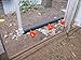 5pcs Bird Coop Feed Automatic Poultry Chicken Water Drinking