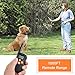 BIG DEAL Humane Safety No Shock Dog Training Collar with Remote, 1000FT Range Rechargeable Waterproof Dog Training Collar for Small Medium Large Dogs (for 1 Dog)thumb 4