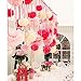 Coceca 21Pcs Tissue Paper Pom Poms Pink Paper Pom Poms 14 Inch, 12 Inch, 10 Inch, 8 Inch Pink Set Flower Ball for Birthday Wedding Party Outdoor Baby Shower Decoration