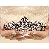 Rannyrena Silver Crystal Tiaras and Crowns for Women Sparkling Rhinestone Queen Crowns Princess Birthday Wedding Bridal Hair Accessories