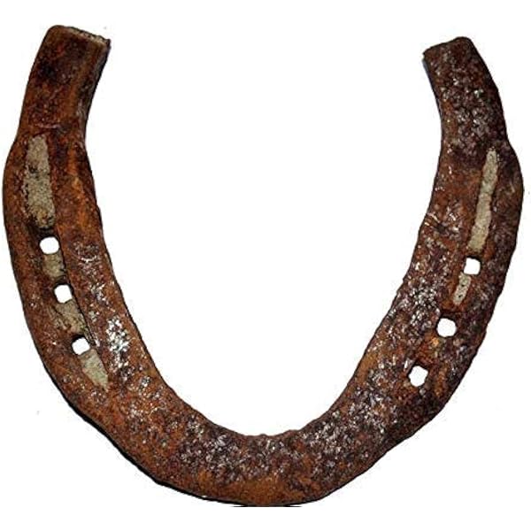 Amazon.com: Lucky Horseshoe Used : Pet Supplies