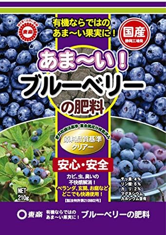 Amazon 5年生超特大苗2品種寄せ植え２４ｃｍポット樹高約1cmrラビットアイ系品種 写真のような大苗 初夏には実がつきます 肥料付き 果物