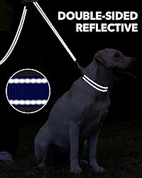 Taglory Dog Leash for Small Dogs, Double-Sided
