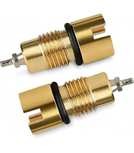Amazon.com: LVACODV Upgraded Check Valve and Air Stem Assembly for